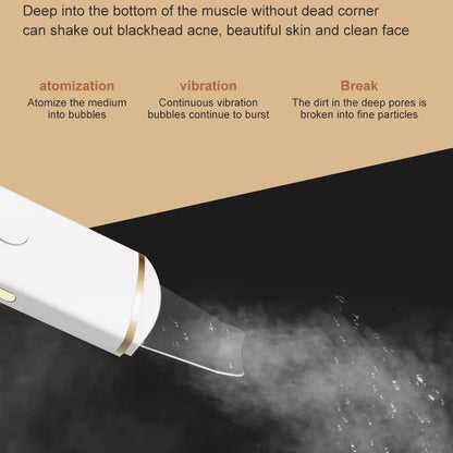 Ultrasonic Skin Scrubber